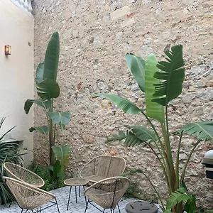 Les Fougeres Festival Jardin Garage Appartamento Cannes